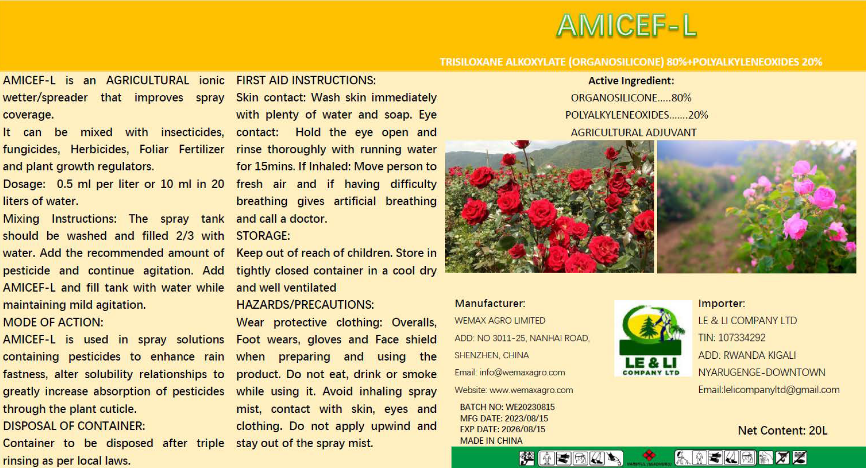 AMICEF - L