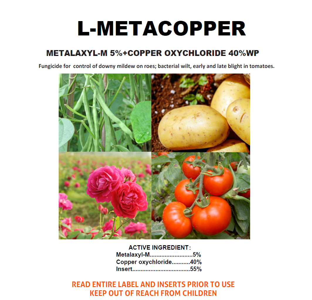 L - METACOPPER