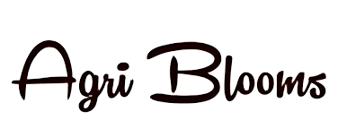 Partner 8